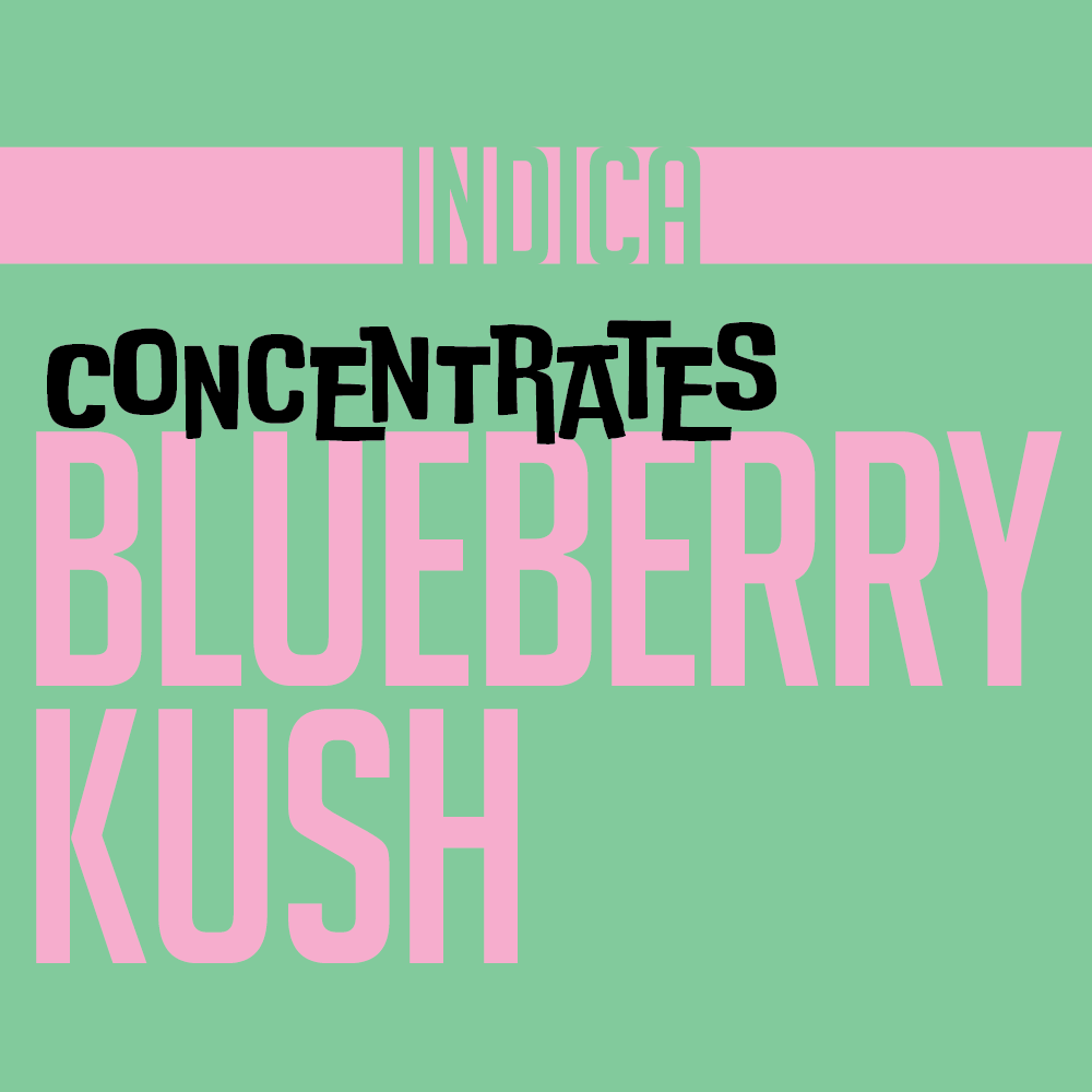 DISPOSABLE VAPE 1ML BLUEBERRY KUSH Canna Kingdom DISPOSABLE VAPE 1ML BLUEBERRY KUSH Canna Kingdom