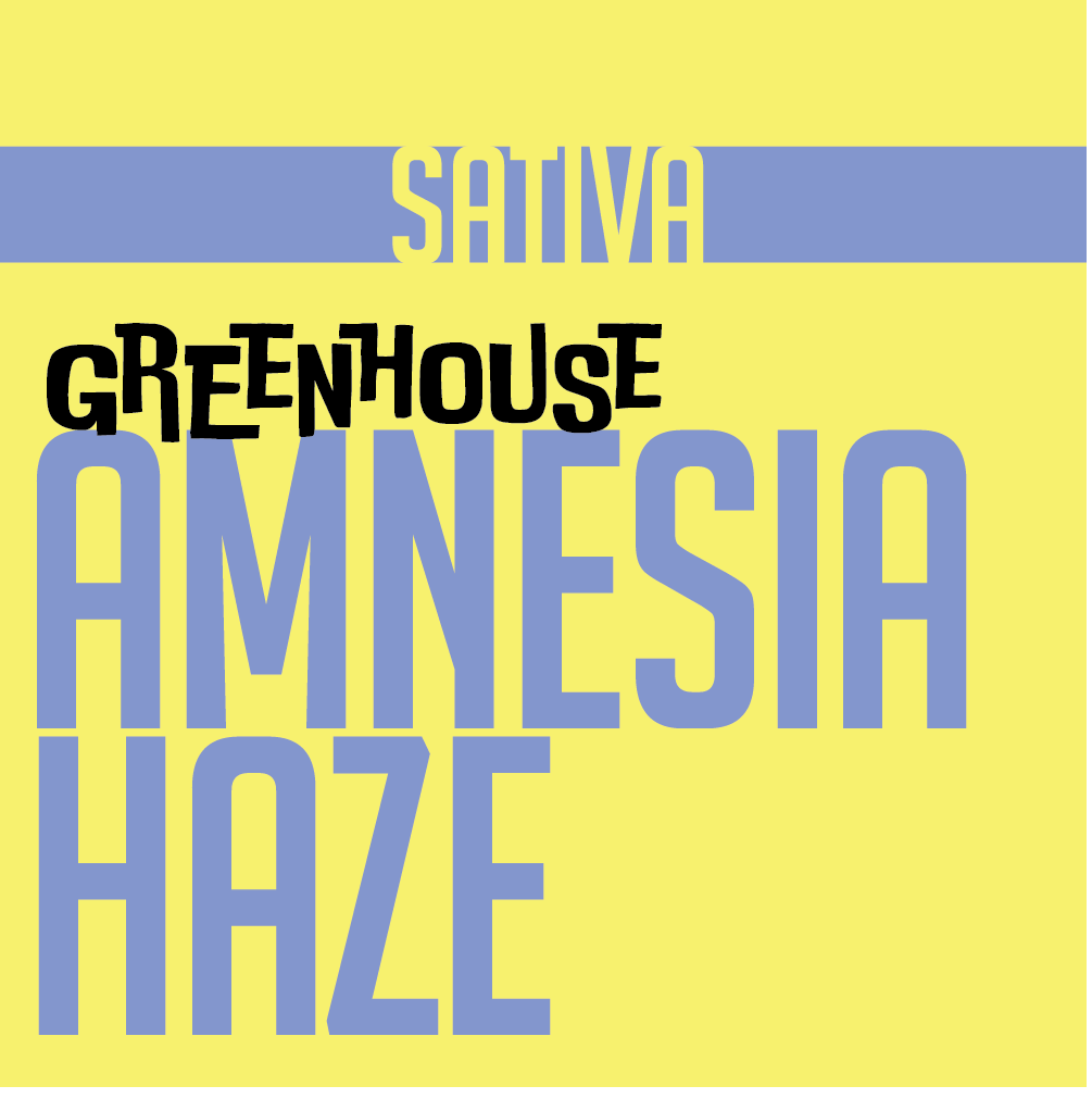 GREENHOUSE PREROLL AMNESIA HAZE | GREENHOUSE PREROLLS | PHAT LABORATORIES | Canna Kingdom Online Store Buy Delivery