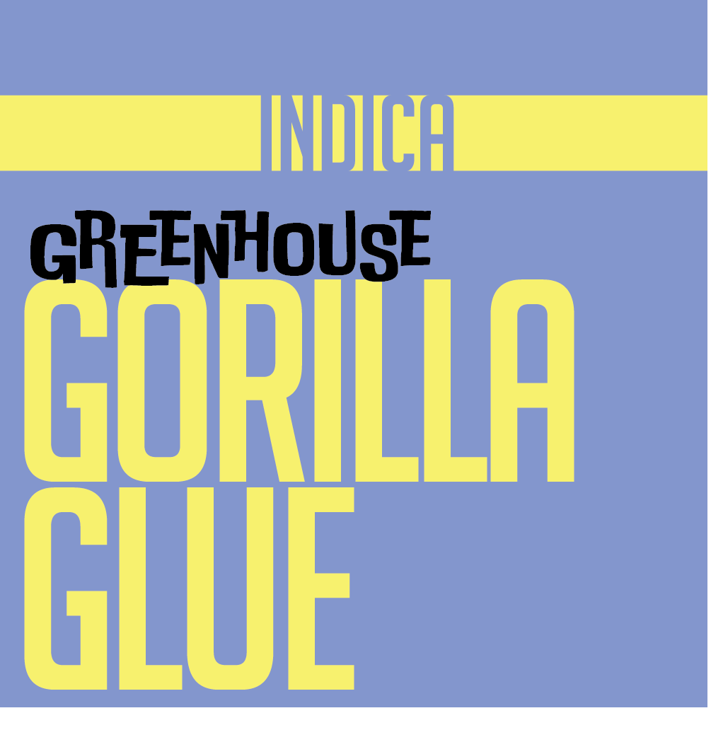 1g GREENHOUSE FLOWER GORILLA GLUE | GREENHOUSE FLOWER | PHAT LABORATORIES | Canna Kingdom Online Store Buy Delivery