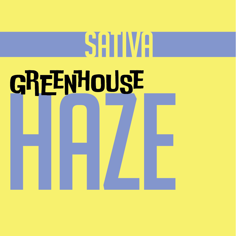 1g GREENHOUSE FLOWER HAZE | GREENHOUSE FLOWER | PHAT LABORATORIES | Canna Kingdom Online Store Buy Delivery