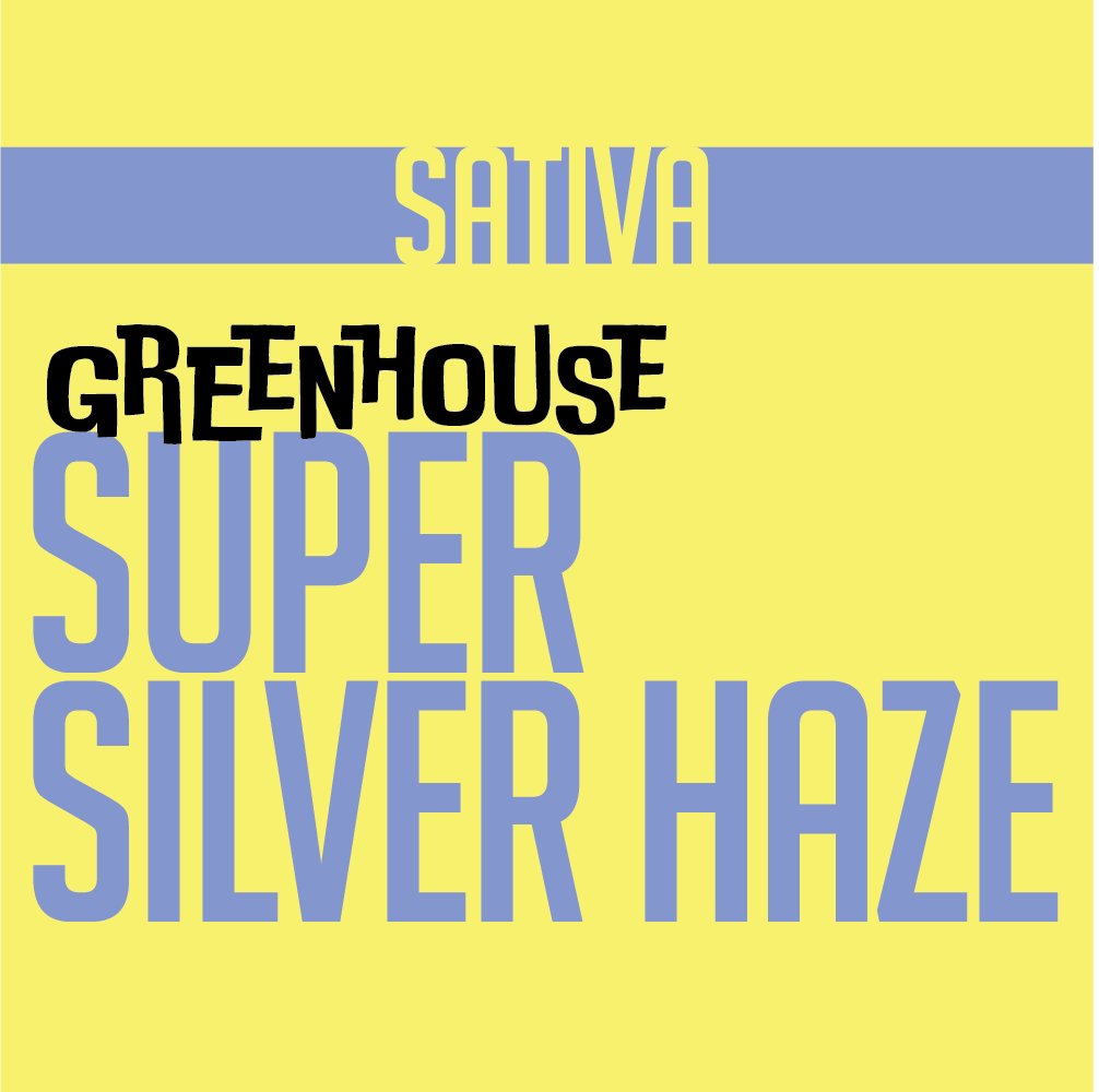 1g GREENHOUSE FLOWER SUPER SILVER HAZE | GREENHOUSE FLOWER | PHAT LABORATORIES | Canna Kingdom Online Store Buy Delivery