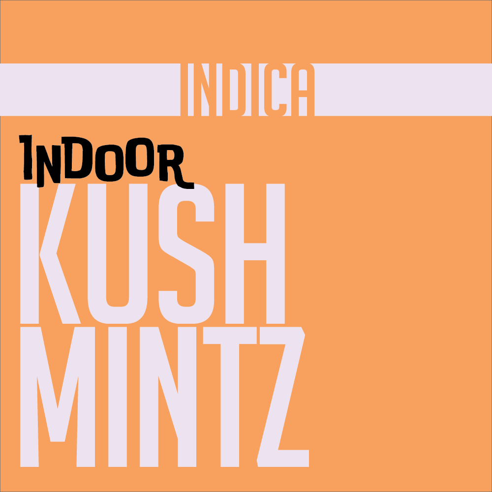 1g INDOOR FLOWER KUSH MINTZ | INDOOR FLOWER | PHAT LABORATORIES | Canna Kingdom Online Store Buy Delivery