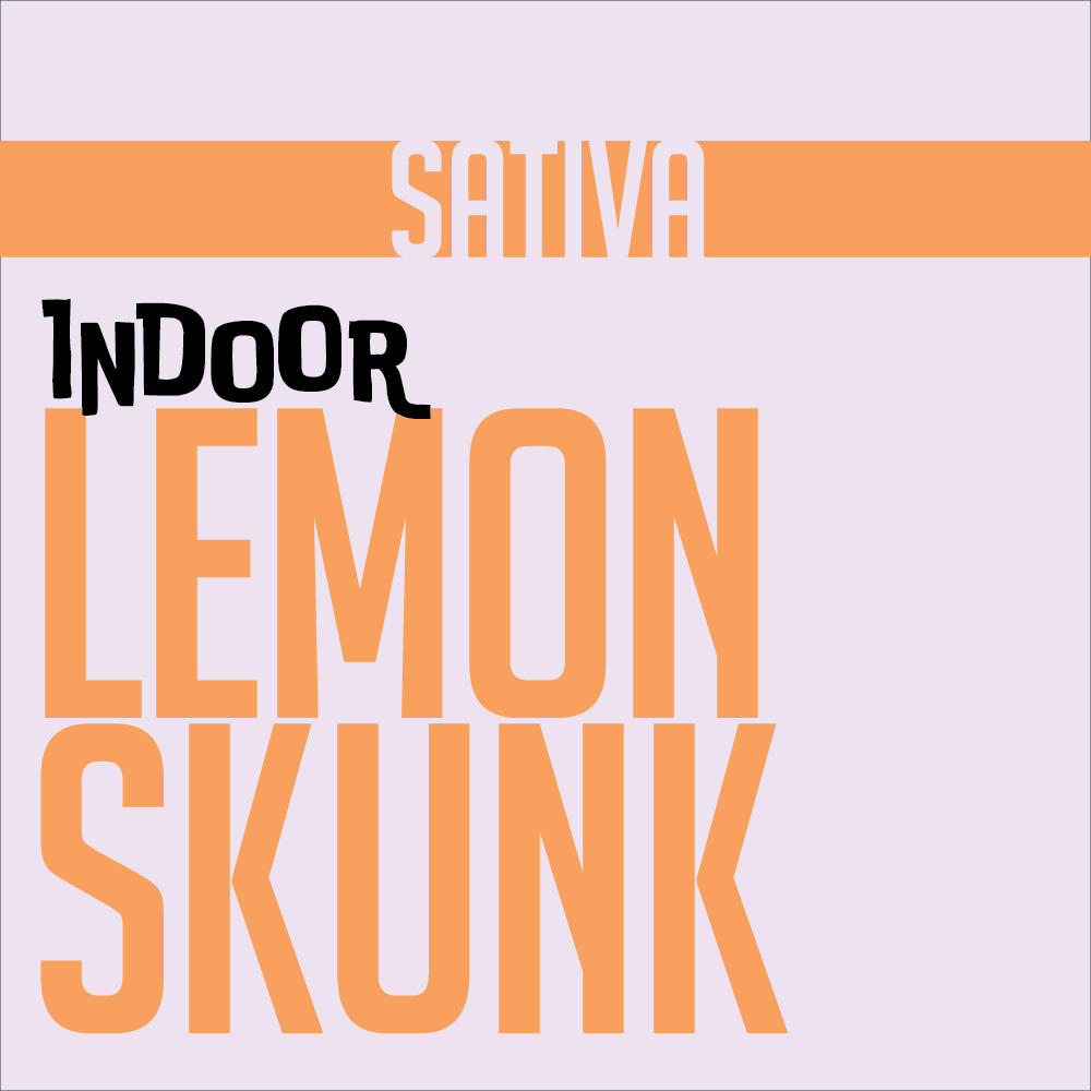 1g INDOOR FLOWER LEMON SKUNK | INDOOR FLOWER | PHAT LABORATORIES | Canna Kingdom Online Store Buy Delivery