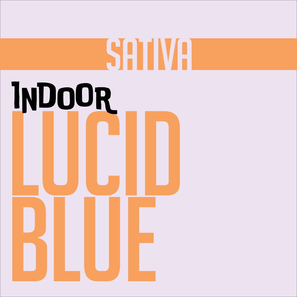 1g INDOOR FLOWER LUCID BLUE | INDOOR FLOWER | PHAT LABORATORIES | Canna Kingdom Online Store Buy Delivery