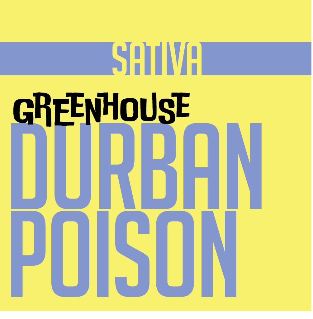 GREENHOUSE PREROLL DURBAN POISON | GREENHOUSE PREROLLS | PHAT LABORATORIES | Canna Kingdom Online Store Buy Delivery