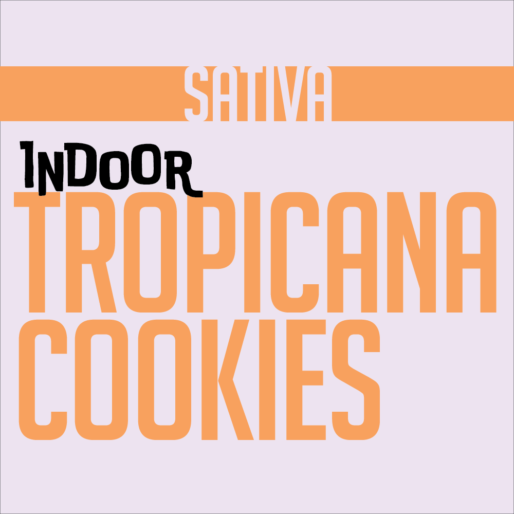 INDOOR PREROLL TROPICANA COOKIES | INDOOR PREROLLS | PHAT LABORATORIES | Canna Kingdom Online Store Buy Delivery