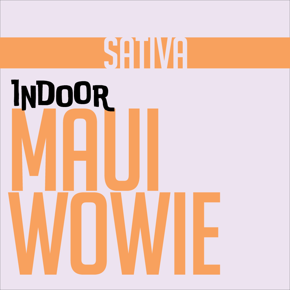 1g INDOOR FLOWER MAUI WOWIE | INDOOR FLOWER | PHAT LABORATORIES | Canna Kingdom Online Store Buy Delivery