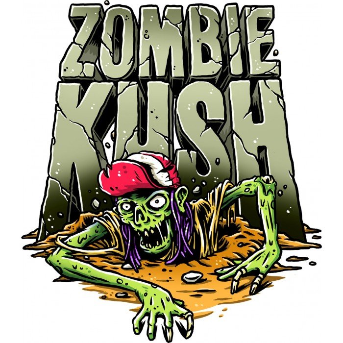 RIPPER SEEDS AUTO ZOMBIE KUSH (3 SEEDS IN A PACK) | APPAREL | REGO INTERNATIONAL HQ | Canna Kingdom Online Store Buy Delivery