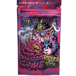 RIPPER SEEDS BRAIN CAKE FEM (3 SEEDS IN A PACK) | APPAREL | REGO INTERNATIONAL HQ | Canna Kingdom Online Store Buy Delivery