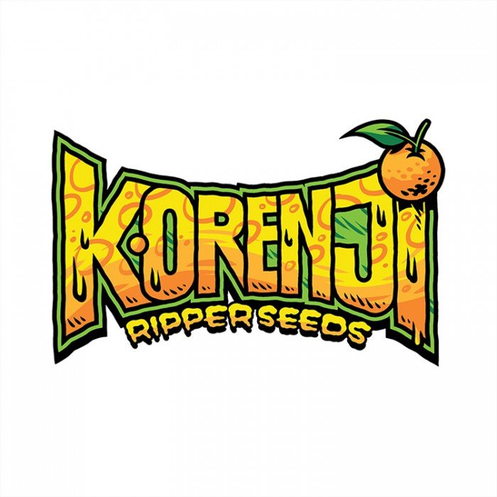 RIPPER SEEDS KORENJI FEM (3 SEEDS IN A PACK) | APPAREL | REGO INTERNATIONAL HQ | Canna Kingdom Online Store Buy Delivery