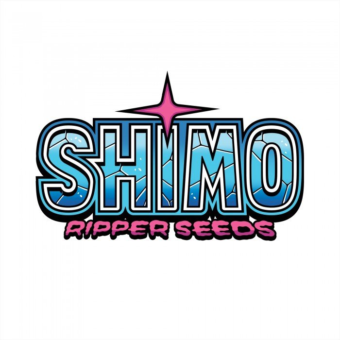RIPPER SEEDS SHIMO FEM (3 SEEDS IN A PACK) | APPAREL | REGO INTERNATIONAL HQ | Canna Kingdom Online Store Buy Delivery