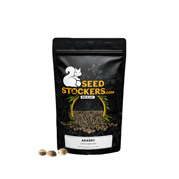 SEED STOCKERS AK420 AUTO 3PK | APPAREL | REGO INTERNATIONAL HQ | Canna Kingdom Online Store Buy Delivery