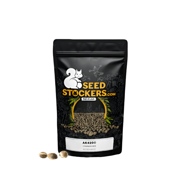 SEED STOCKERS AK420 FEM 3PK | APPAREL | REGO INTERNATIONAL HQ | Canna Kingdom Online Store Buy Delivery