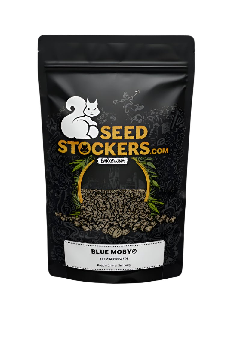 SEED STOCKERS BLUE MOBY AUTO 3PK | APPAREL | REGO INTERNATIONAL HQ | Canna Kingdom Online Store Buy Delivery