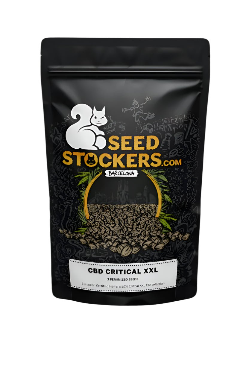 SEED STOCKERS CBD CRITICAL XXL FEM 3PK | APPAREL | REGO INTERNATIONAL HQ | Canna Kingdom Online Store Buy Delivery