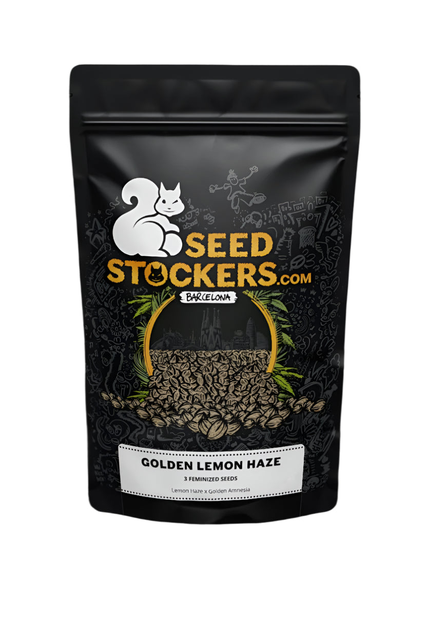 SEED STOCKERS GOLDEN LEMON HAZE FEM 3PK | APPAREL | REGO INTERNATIONAL HQ | Canna Kingdom Online Store Buy Delivery