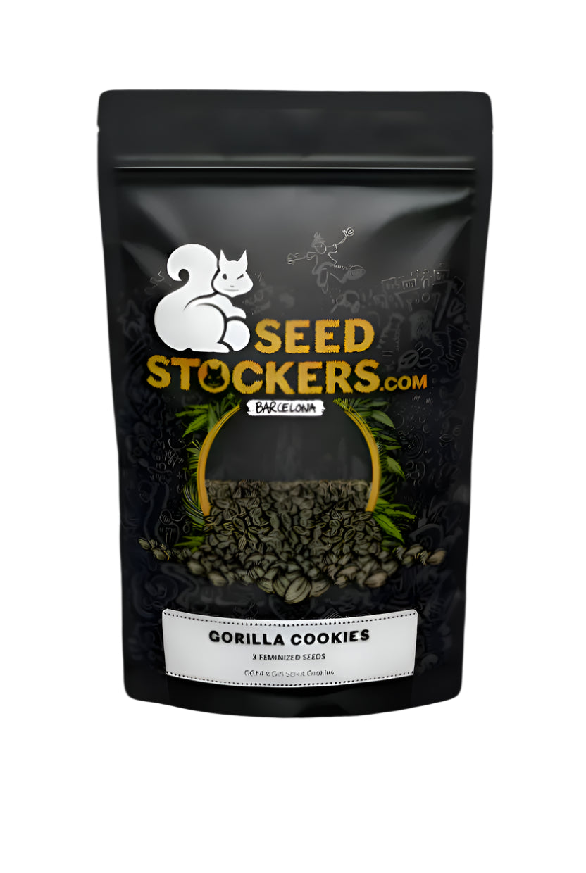 SEED STOCKERS GORILLA COOKIES FEM 3PK | APPAREL | REGO INTERNATIONAL HQ | Canna Kingdom Online Store Buy Delivery
