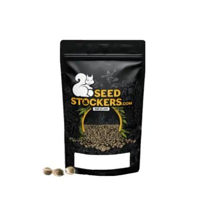 SEED STOCKERS SOUR DIESEL AUTO 3PK | APPAREL | REGO INTERNATIONAL HQ | Canna Kingdom Online Store Buy Delivery