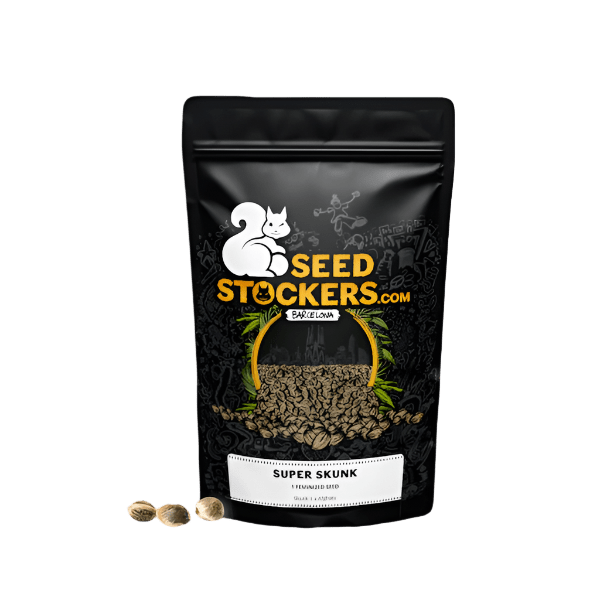 SEED STOCKERS SUPER SKUNK FEM 3PK | APPAREL | REGO INTERNATIONAL HQ | Canna Kingdom Online Store Buy Delivery