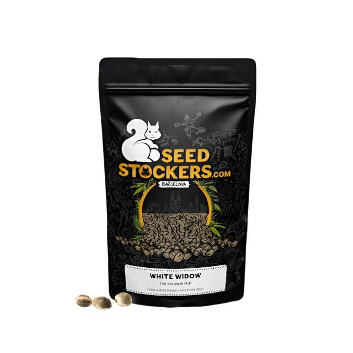 SEED STOCKERS WHITE WIDOW AUTO 3PK | APPAREL | REGO INTERNATIONAL HQ | Canna Kingdom Online Store Buy Delivery