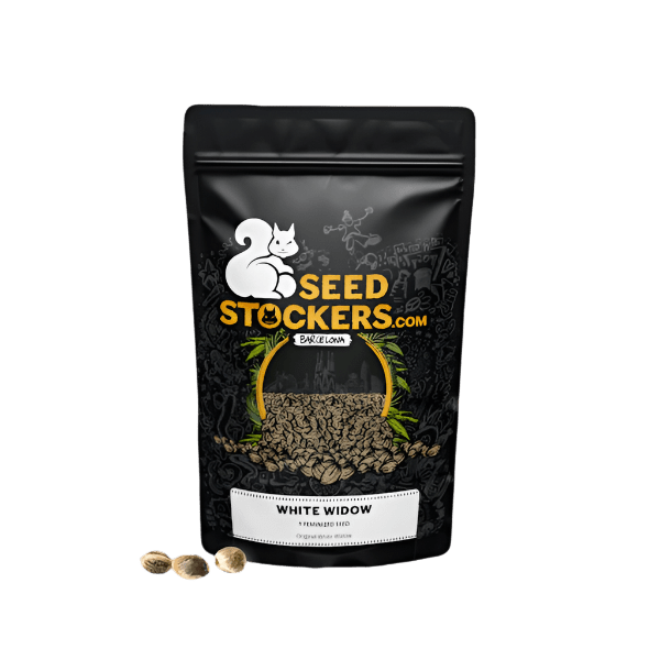 SEED STOCKERS WHITE WIDOW FEM 3PK | APPAREL | REGO INTERNATIONAL HQ | Canna Kingdom Online Store Buy Delivery
