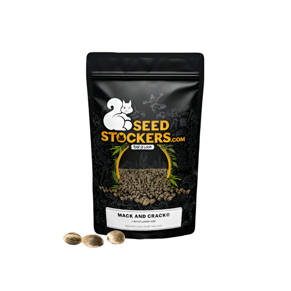 SEEDS STOCKERS MACK & CRACK AUTO 3PK | APPAREL | REGO INTERNATIONAL HQ | Canna Kingdom Online Store Buy Delivery